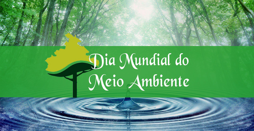 Dia Mundial do Meio Ambiente - Acabe com a Poluição Plástica