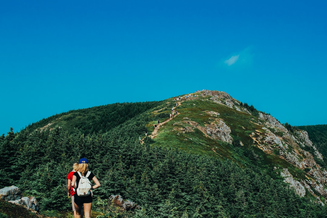 an image of a lone hiker, surrounded by towering ancient trees, trekking through a dense, moss-covered forest