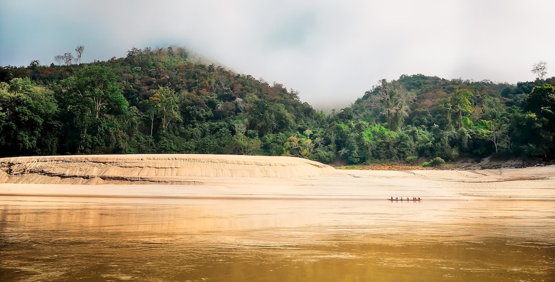 An image featuring a mesmerizing sunset over the vast Amazon rainforest