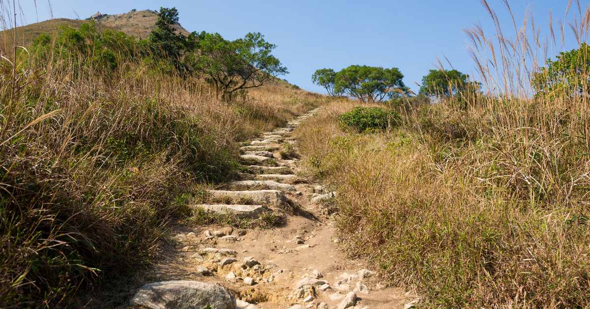 8 Melhores Trilhas para Iniciantes em Caminhadas ao Ar Livre