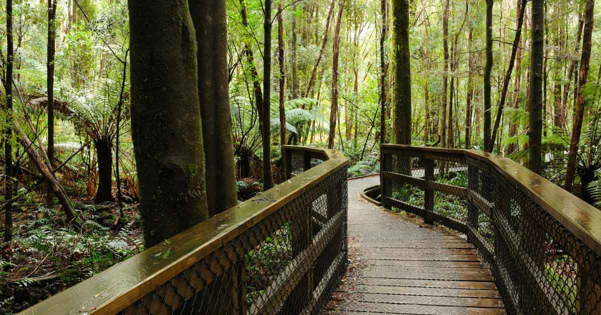 Quais São as Trilhas na Natureza Mais Isoladas para Acampar?