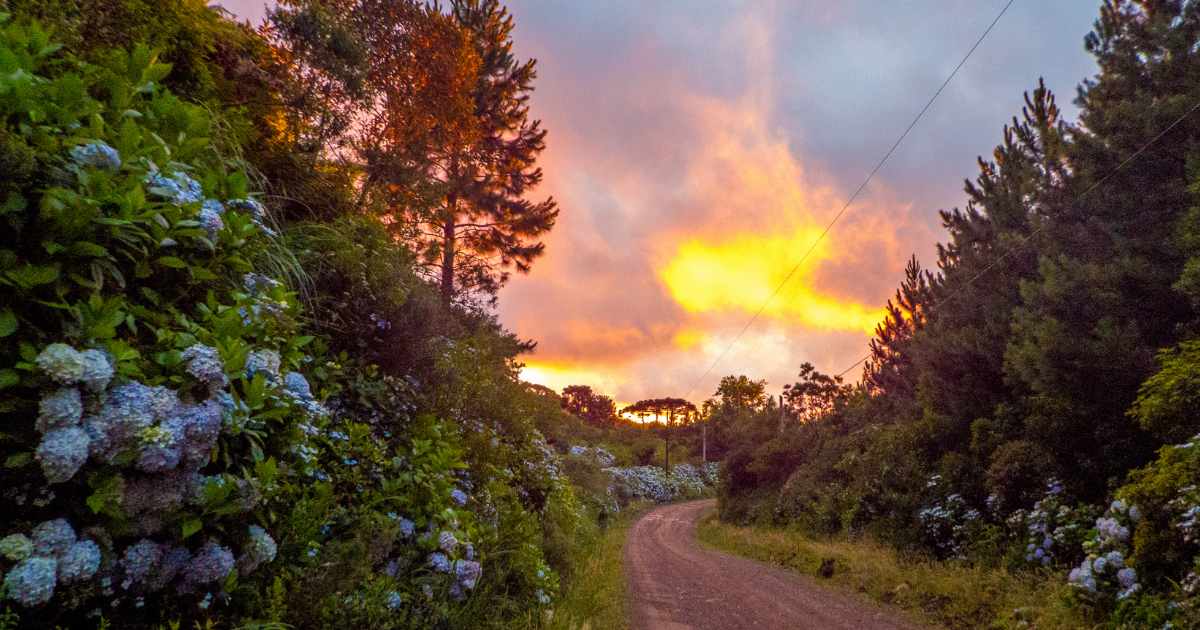 Desvendando a Bela Natureza: Um Guia de Trilhas Cênicas