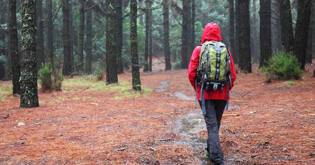 Fique Seco e Aconchegante em Caminhadas Chuvosas: Seu Guia Completo para Equipamento de Chuva