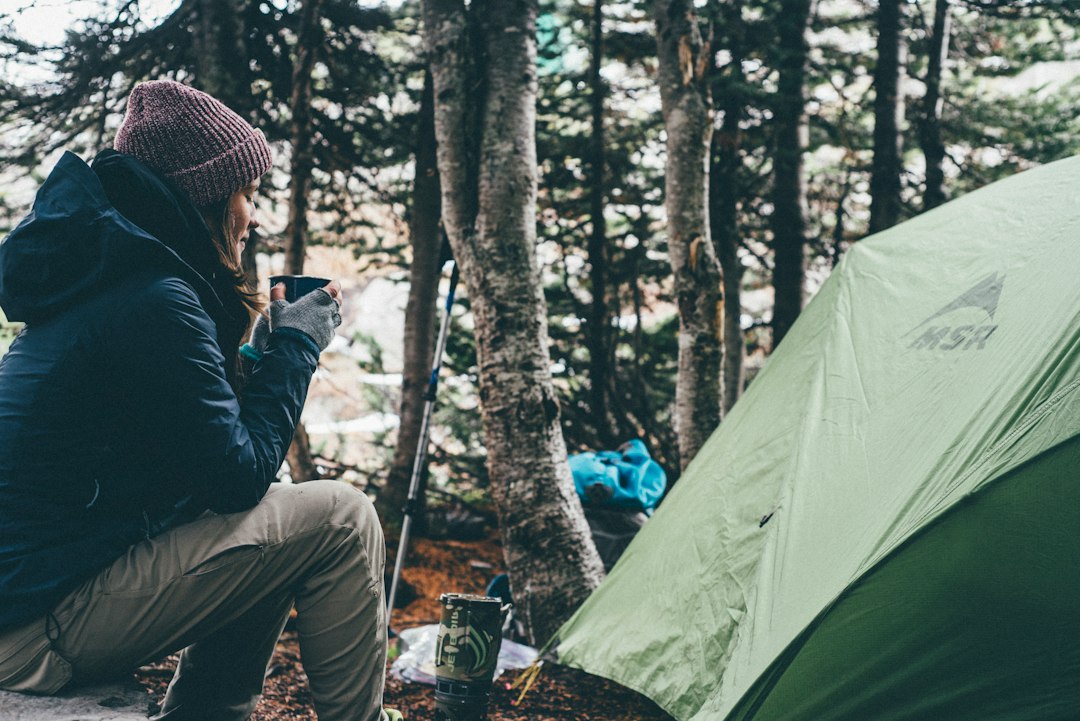 an awe-inspiring moment of a hiker standing atop a rugged mountain peak, surrounded by a vast wilderness of towering pine trees, cascading waterfalls, and a crystal-clear alpine lake reflecting the vibrant colors of the setting sun