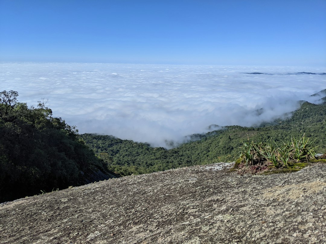 An image showcasing the breathtaking beauty of São Paulo's hiking trails