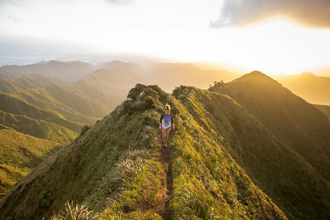 An image capturing the enchanting trails of Ubatuba: A winding path meandering through lush rainforest, sunlight filtering through dense foliage, revealing glimpses of sparkling waterfalls and breathtaking coastal views