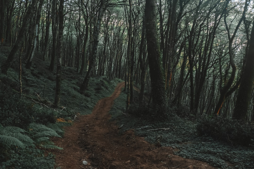 Código de Conduta Ambiental: Práticas Responsáveis para Preservar a Natureza durante sua Trilha