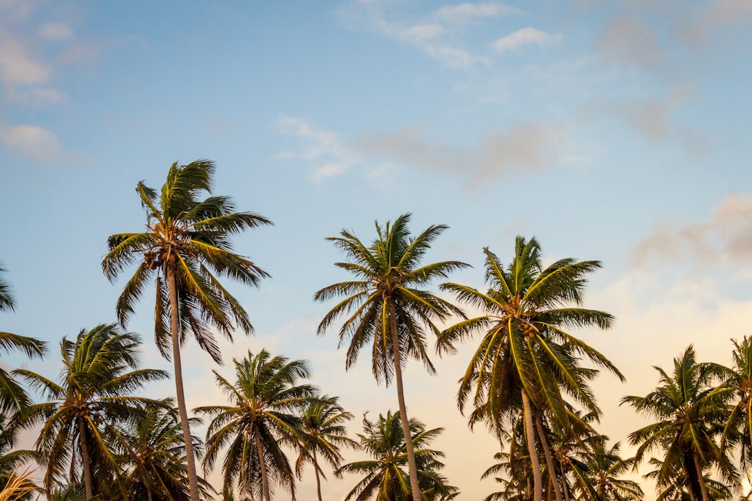 An image showcasing the rugged Trilha Das Sete Praias, its winding paths leading through lush rainforests, revealing hidden coves with crystal-clear turquoise waters, white sandy beaches, towering cliffs, and vibrant marine life