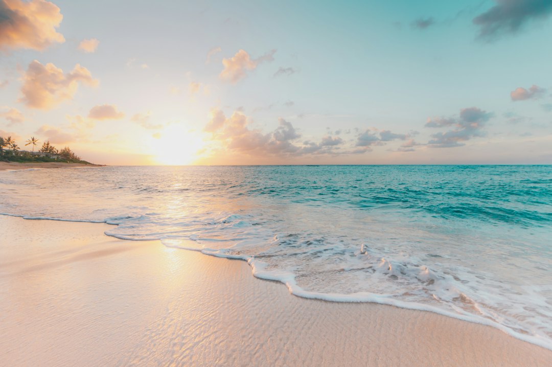 the essence of tranquility and adventure at Praia Da Solidão with an image of a secluded trail leading through lush greenery, guiding the viewer towards the pristine beach surrounded by crystal-clear waters and majestic cliffs