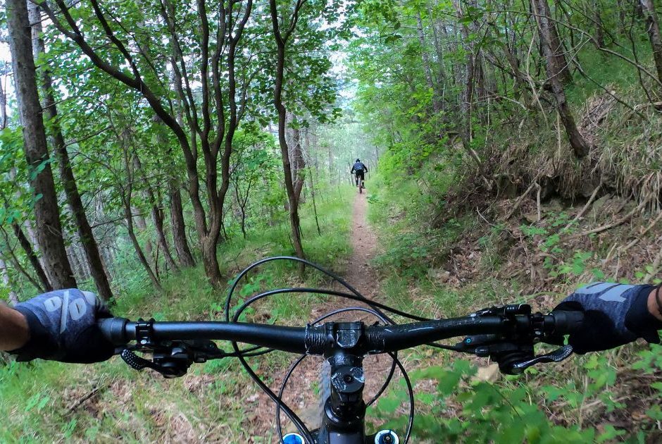 Dicas de Segurança em Trilha de Bicicleta