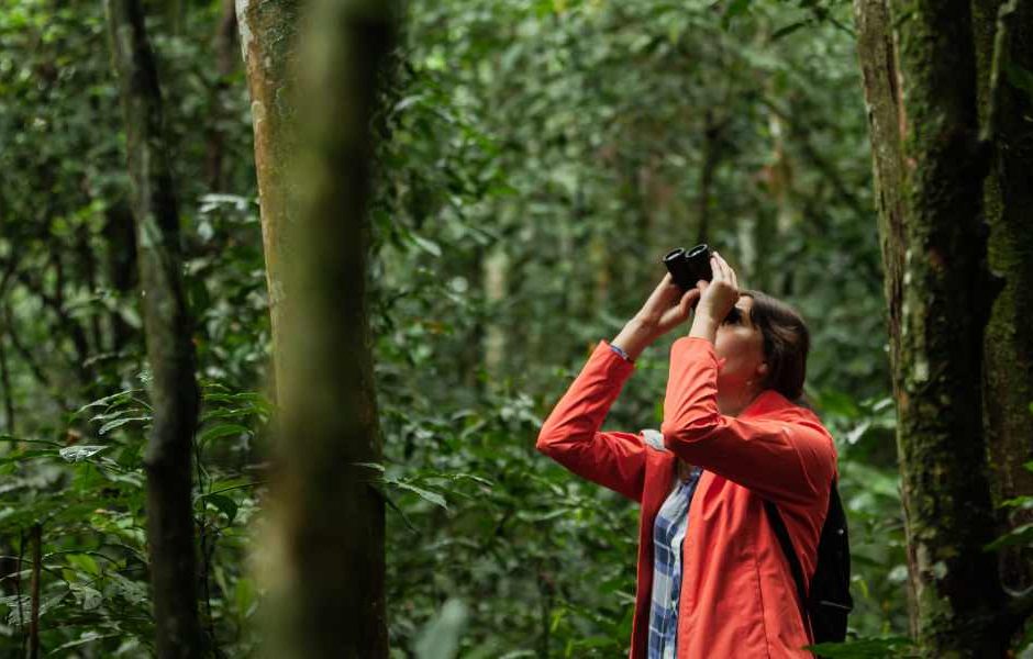 Dicas Essenciais para Praticar Ecoturismo de Forma Sustentável