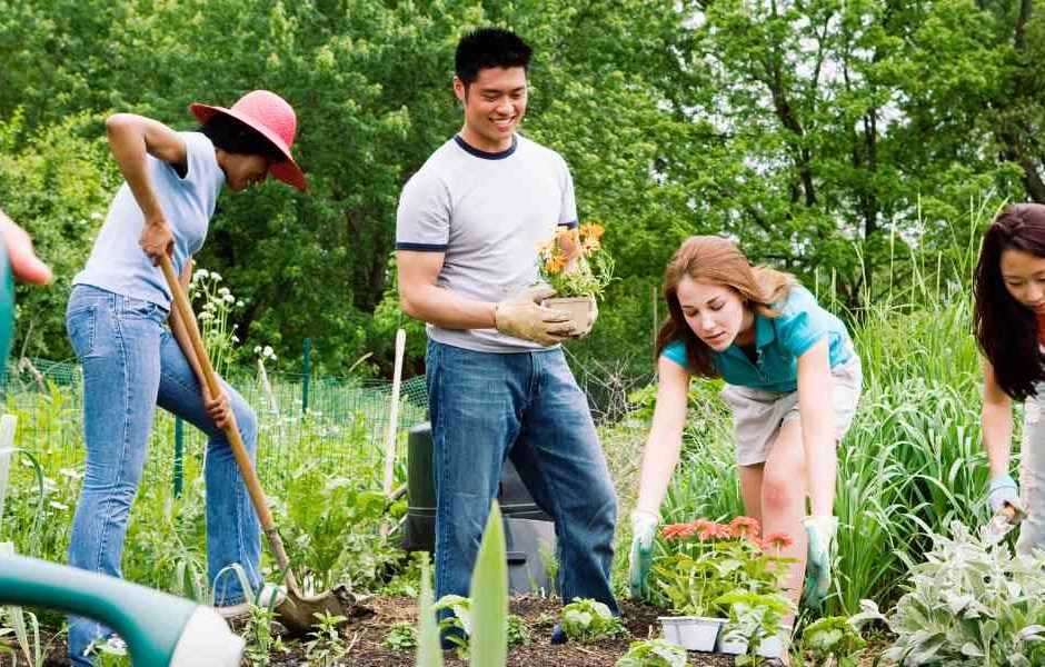 Como o Turismo Comunitário É Organizado: Estruturas, Participantes e Processos