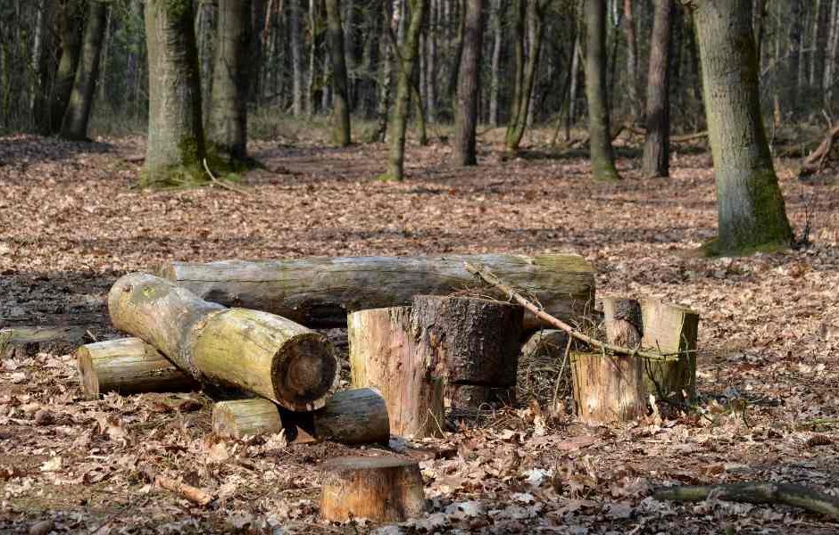 Descubra Como Fazer Ferramentas Improvisadas na Floresta