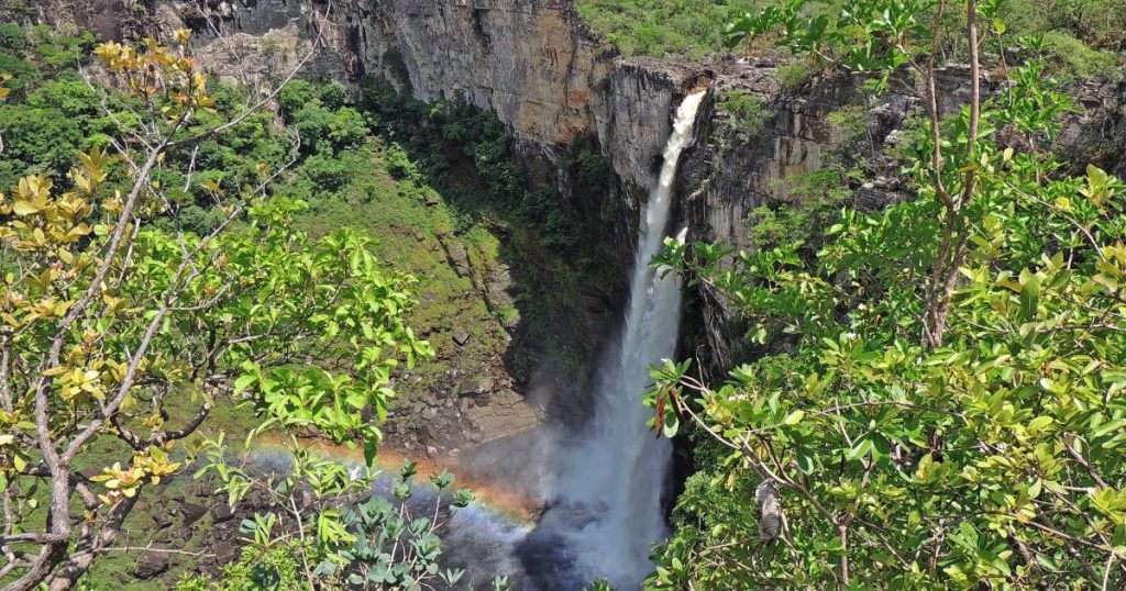 Aventuras na Amazônia