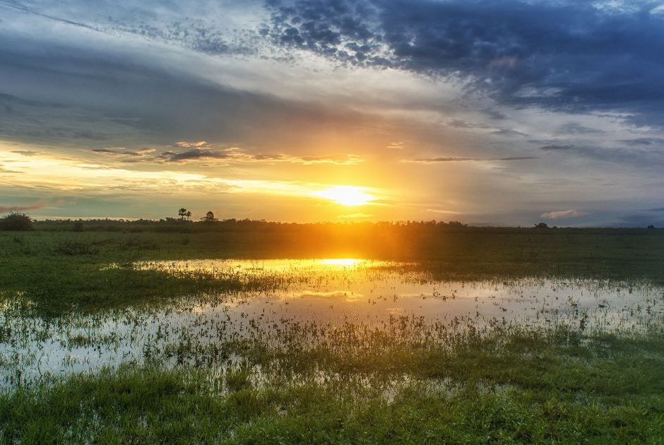 Pantanal