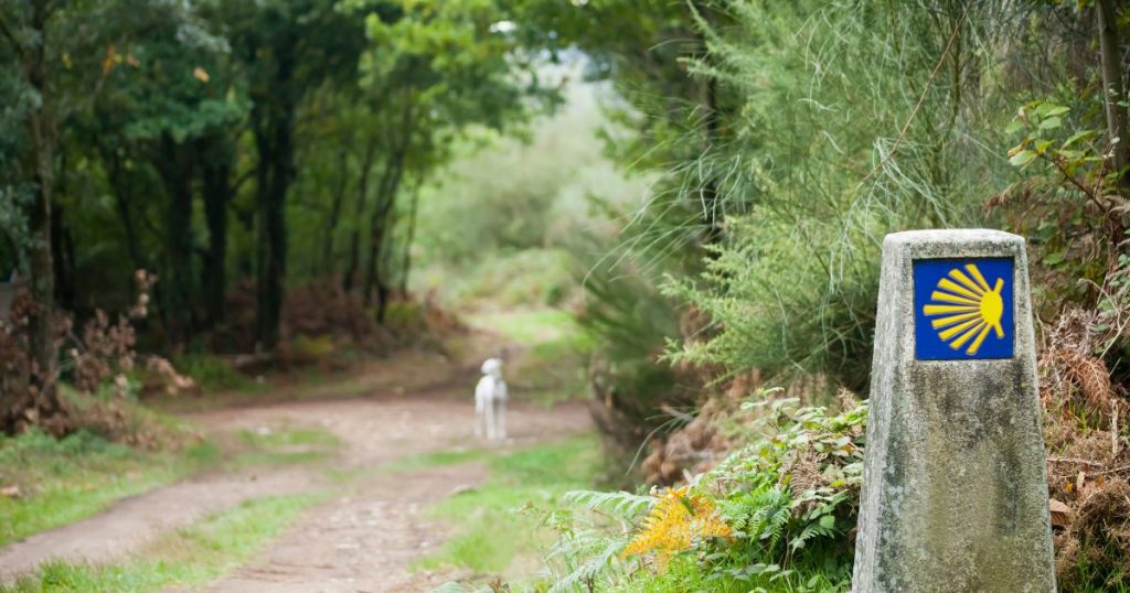 Trilhas do Caminho de Santiago