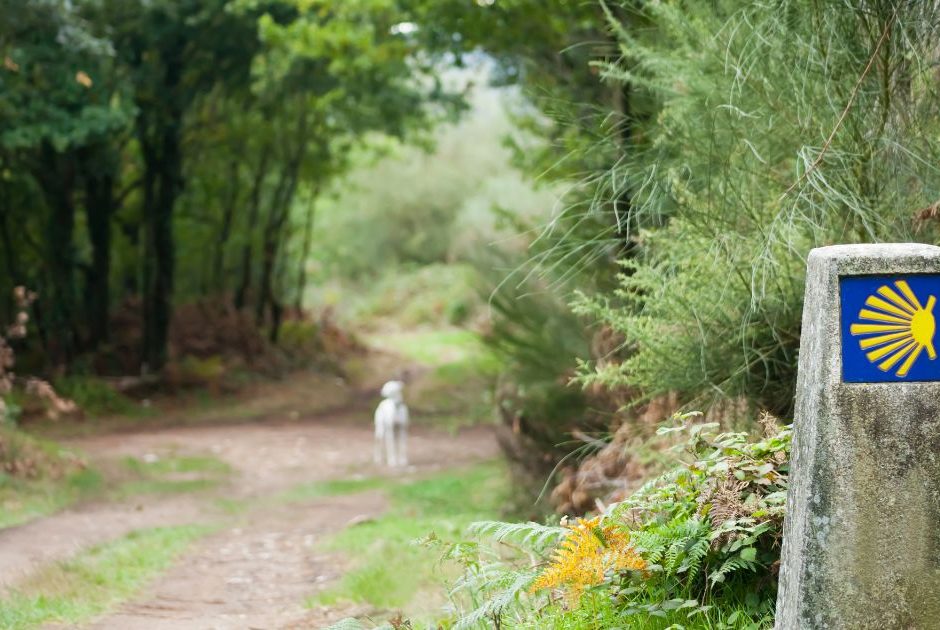 Trilhas do Caminho de Santiago