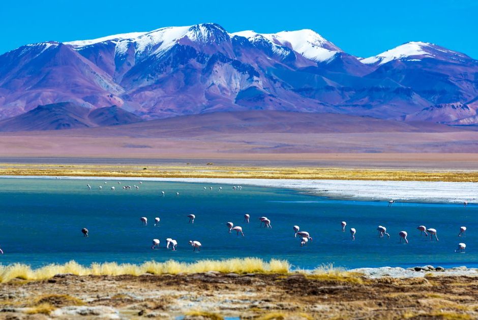 Deserto do Atacama