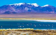 Deserto do Atacama